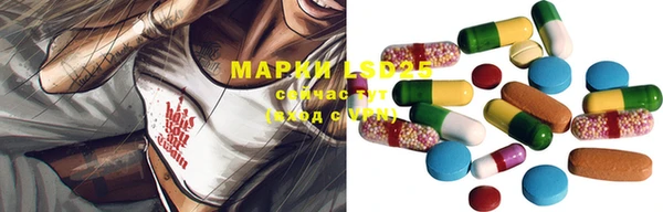 spice Беломорск