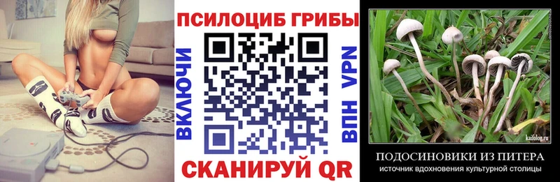 Псилоцибиновые грибы Psilocybine cubensis  Няндома 